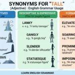 synonyms for tall