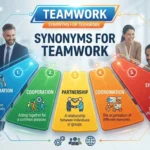 synonyms for teamwork